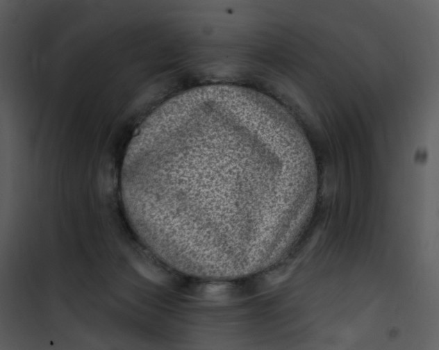 X0000101180173200807181456