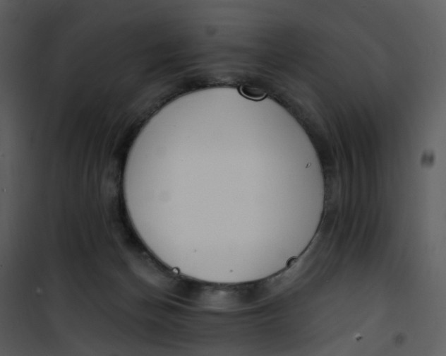 X0000101180174200807181456