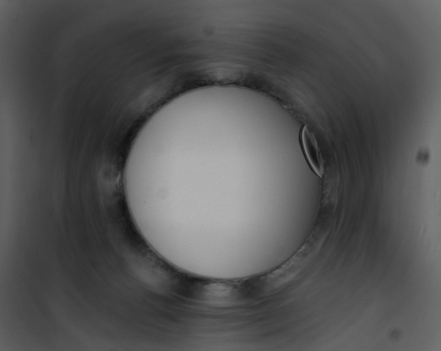 X0000101180176200807181456