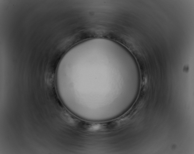 X0000101180177200807181456