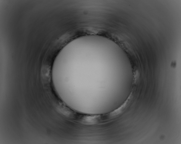 X0000101180178200807181456