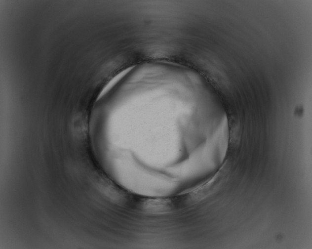 X0000101180179200807181456