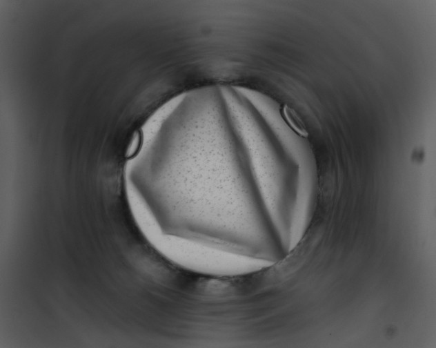 X0000101180180200807181456