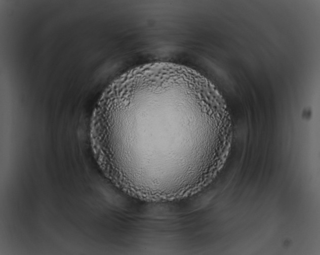 X0000101180181200807181456