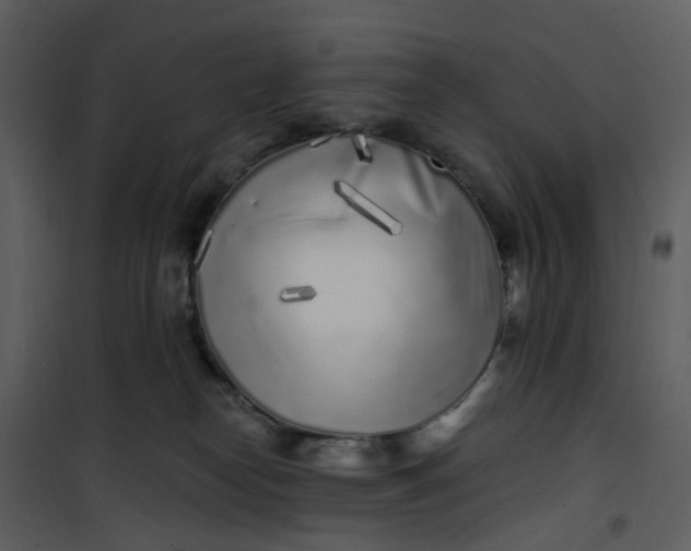 X0000101180182200807181456