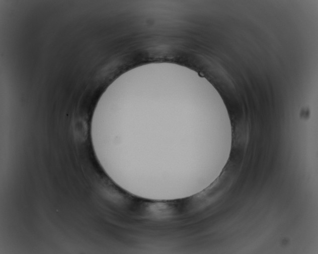 X0000101180183200807181456