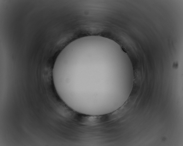 X0000101180184200807181456