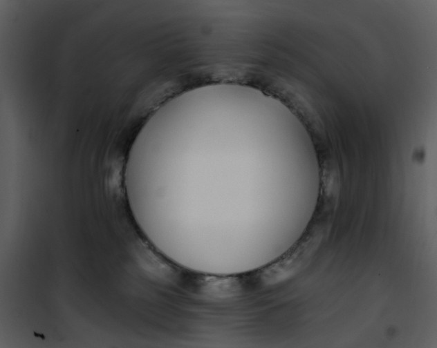 X0000101180185200807181456