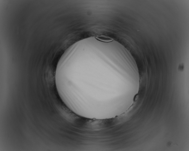 X0000101180186200807181456