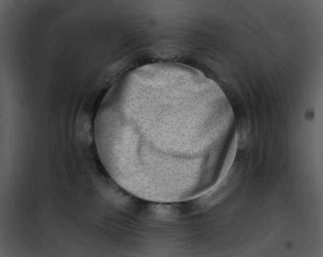 X0000101180187200807181456