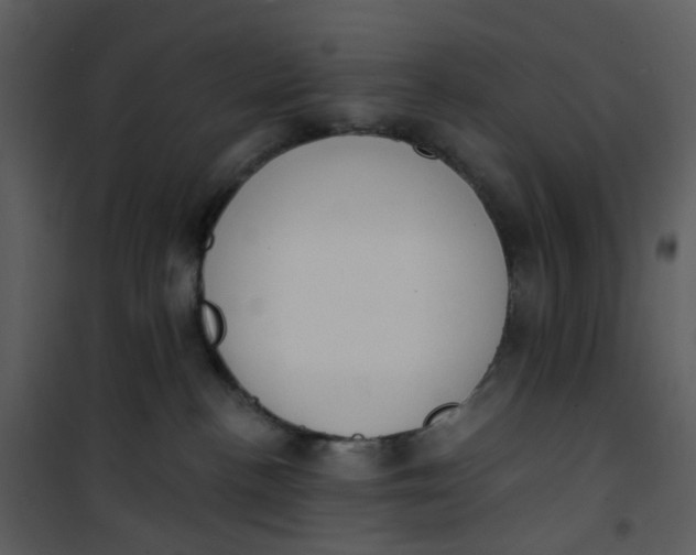 X0000101180188200807181456