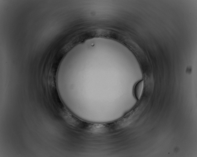 X0000101180189200807181456