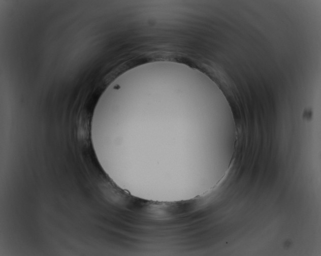 X0000101180190200807181456