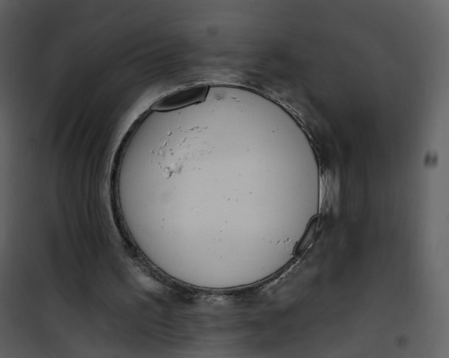 X0000101180195200807181456