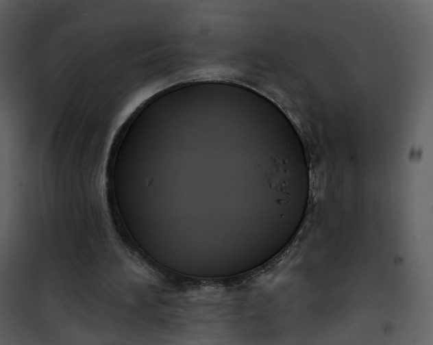 X0000101180196200807181456