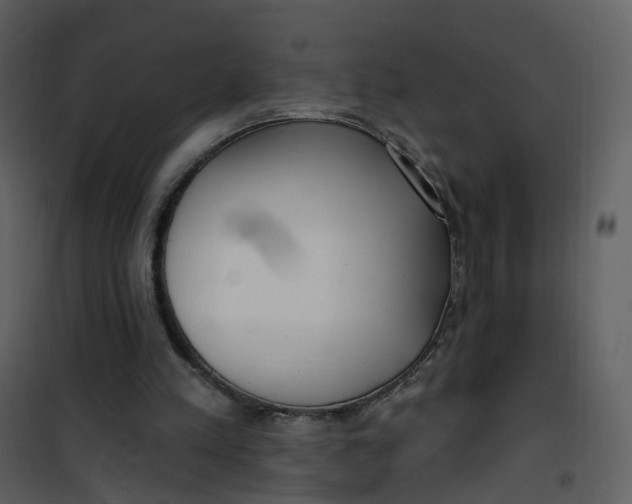 X0000101180197200807181456