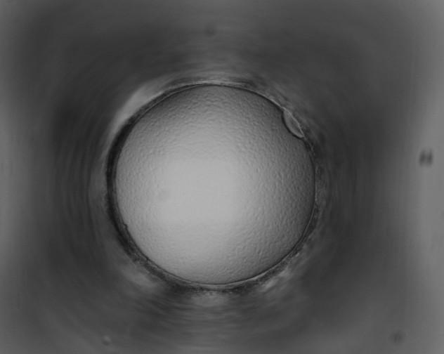 X0000101180198200807181456