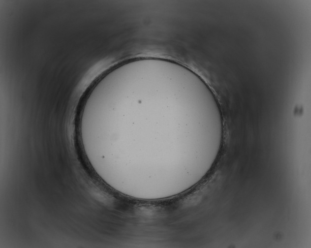 X0000101180199200807181456