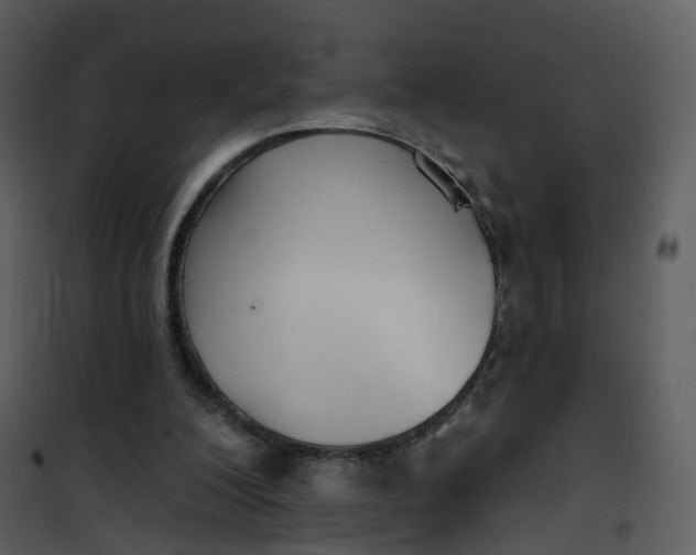 X0000101180200200807181456