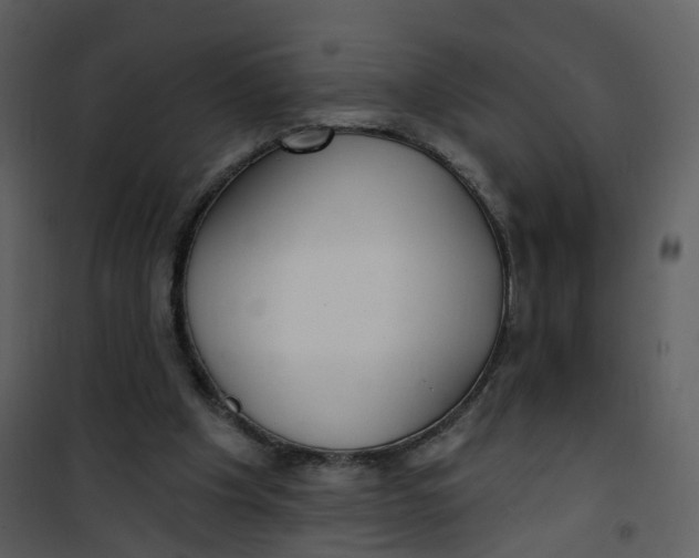 X0000101180201200807181456