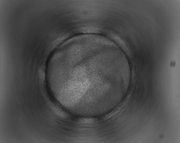 X0000101180202200807181456