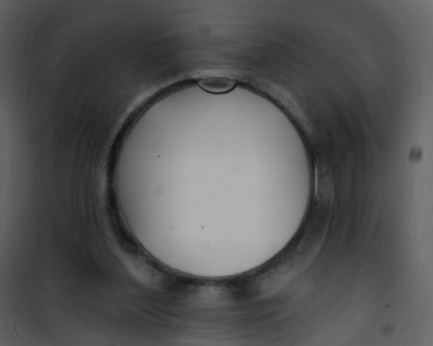 X0000101180204200807181455