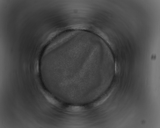 X0000101180205200807181455