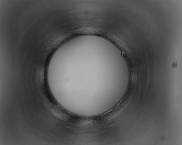 X0000101180206200807181455