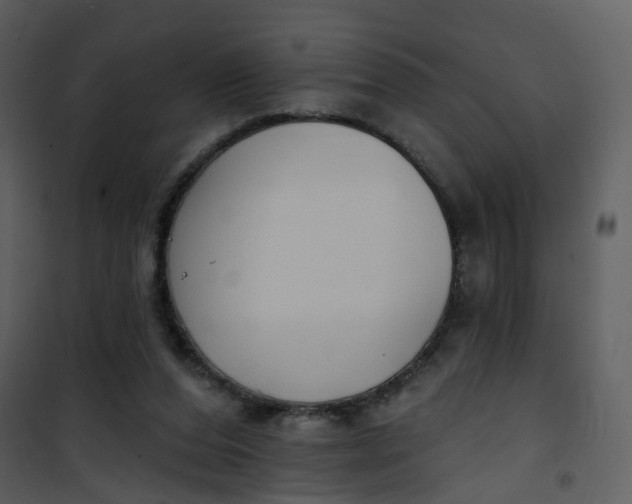 X0000101180208200807181455