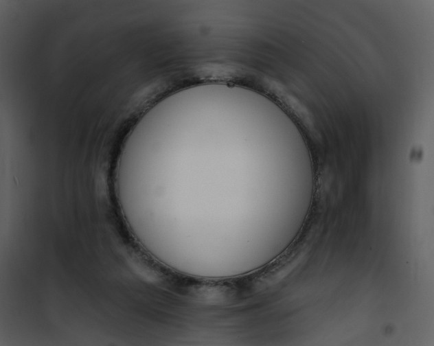 X0000101180209200807181455