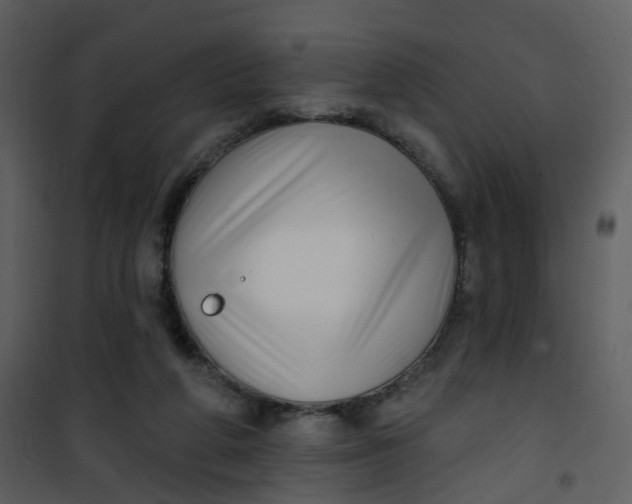 X0000101180210200807181455