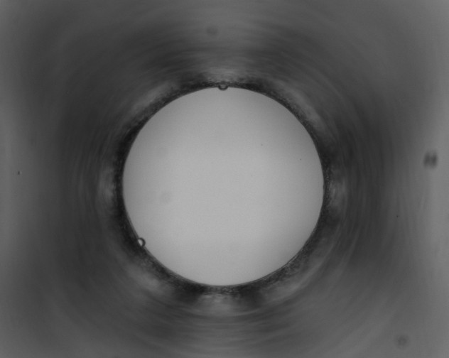 X0000101180211200807181455