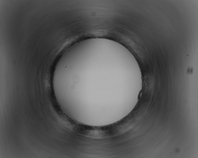 X0000101180212200807181455