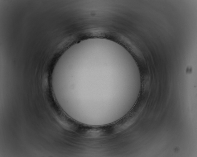 X0000101180213200807181455