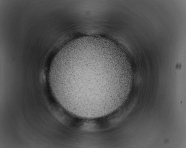 X0000101180214200807181455