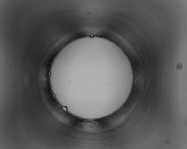 X0000101180215200807181455