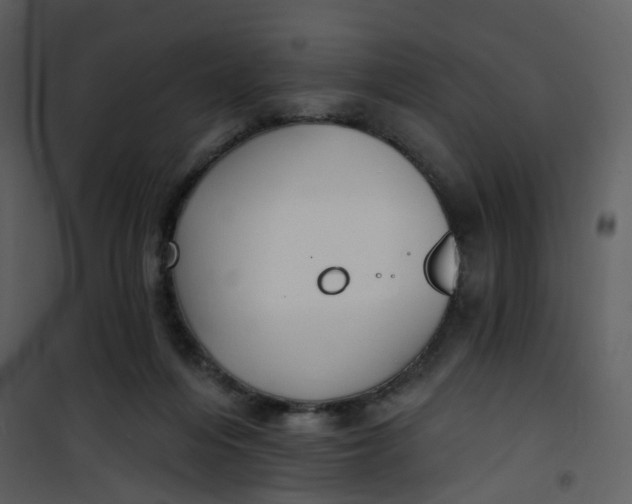 X0000101180216200807181455