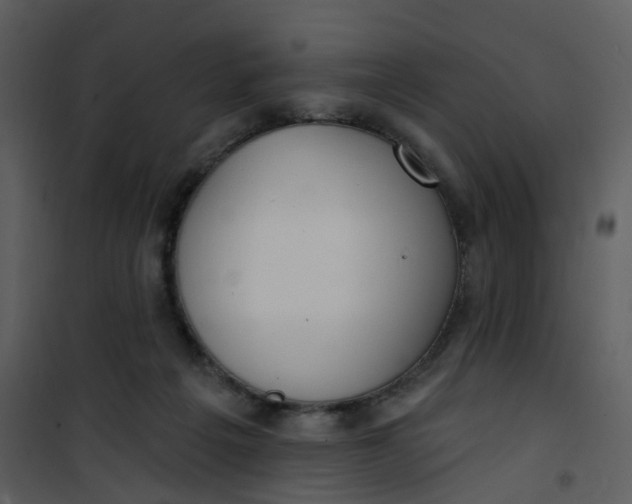 X0000101180217200807181455