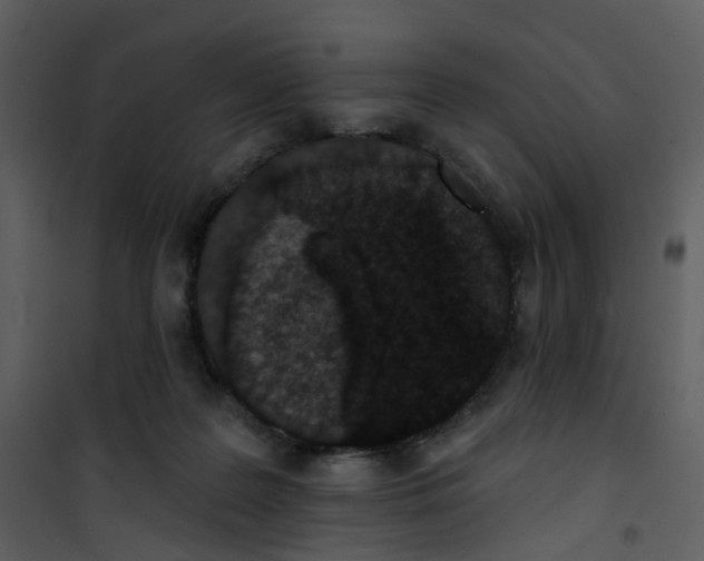 X0000101180219200807181455