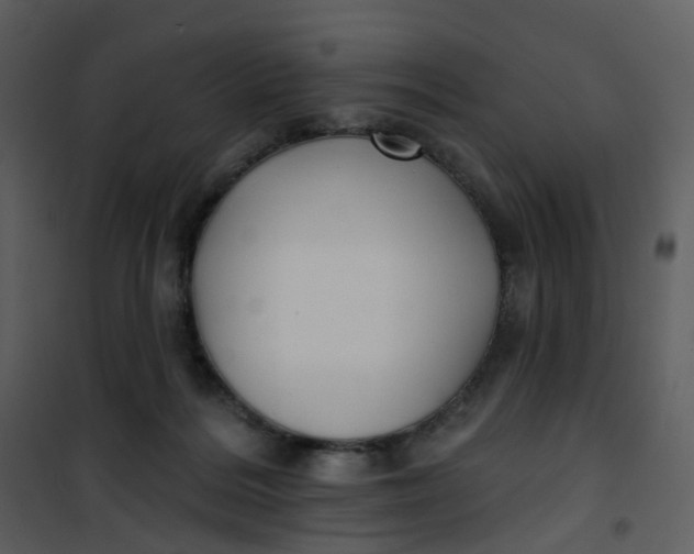 X0000101180220200807181455