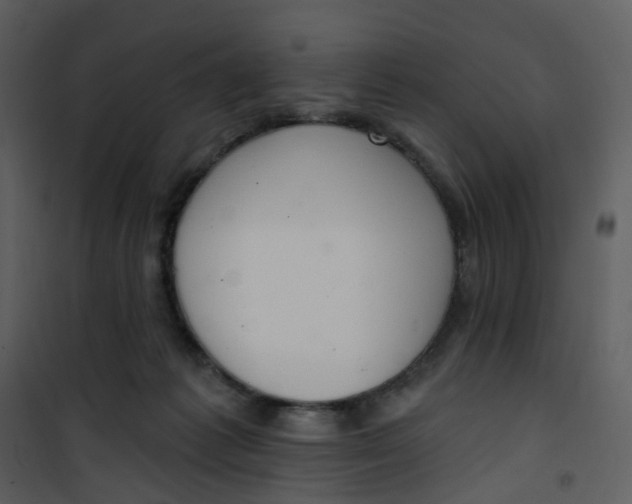 X0000101180221200807181455