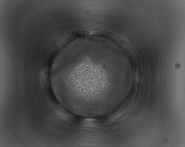 X0000101180222200807181455