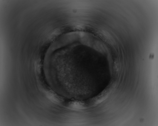 X0000101180223200807181455