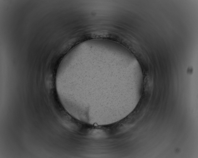 X0000101180224200807181455