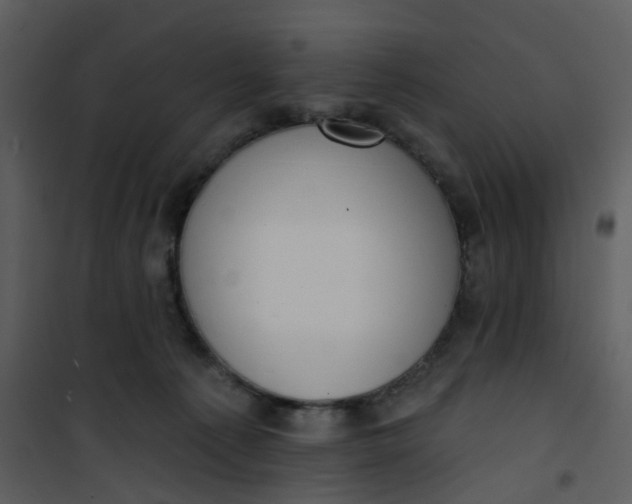 X0000101180225200807181455