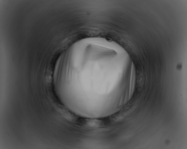 X0000101180226200807181455