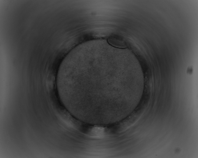 X0000101180227200807181455