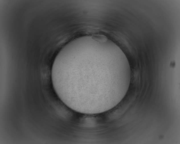 X0000101180228200807181455