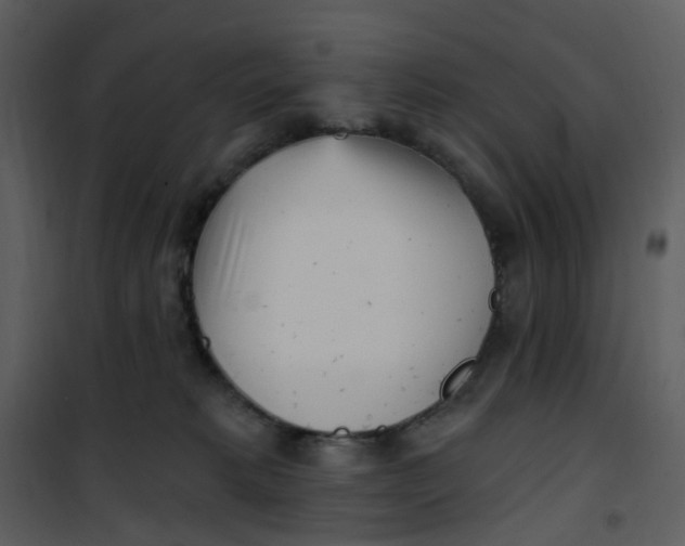 X0000101180229200807181455