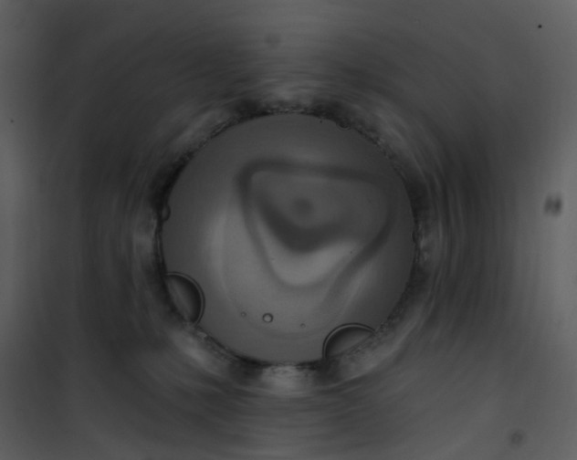 X0000101180231200807181455